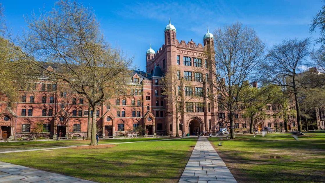 how to get into yale